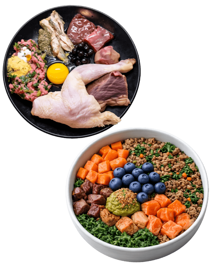 A raw meal plate and a fresh whole-food bowl — muscle meat, organ meats, salmon, sweet potato, kale and berries — the ingredients covered in Fresh-Food Feeding Explained