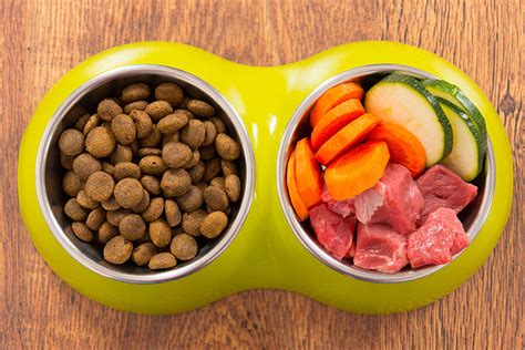 Transitioning Your Dog to a Raw Food Diet