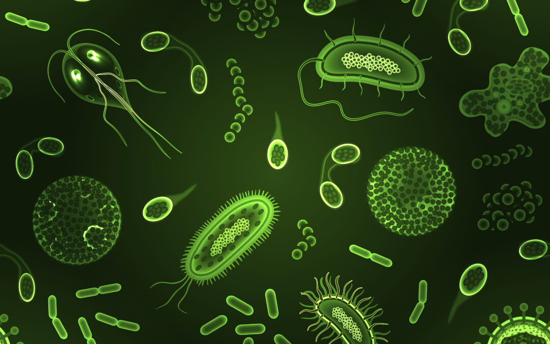 The Mystifyingly Astounding Microbiome