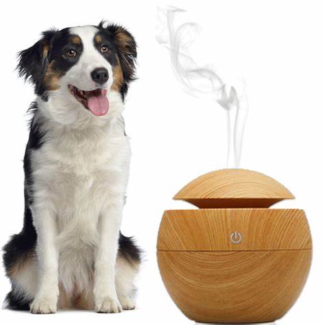 Essential Oils for Canines