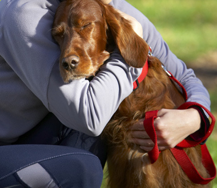 The Intimate Human & Canine Bond Demands We Provide the Best