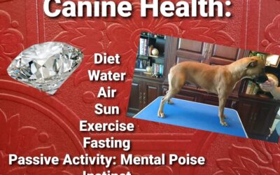 Ten Facets of Canine Health
